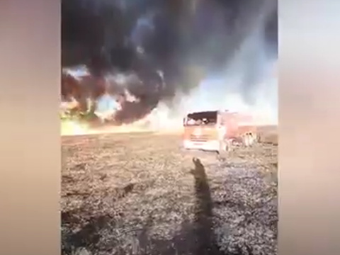 Ucarda açıq ərazidə yanğın - VİDEO