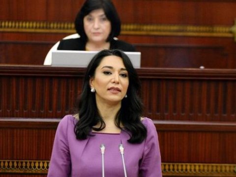 Parlament ombudsmanın məruzəsini qəbul etdi