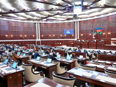 Azərbaycanın D-8-ə qoşulmasına dair qanun qəbul edildi