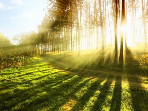 Sabah bölgələrdə 22 dərəcə isti olacaq