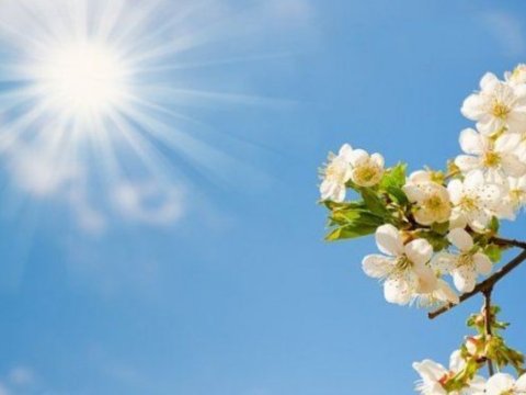 Duman, 20 dərəcə isti - Günün havası