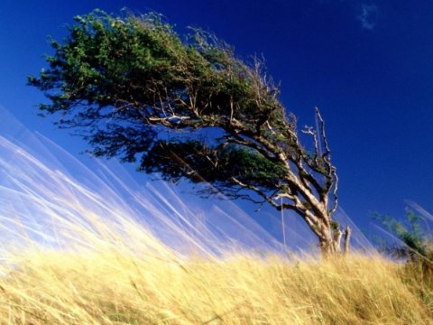 Sabah Yel çərşənbəsidir - İnanclar
