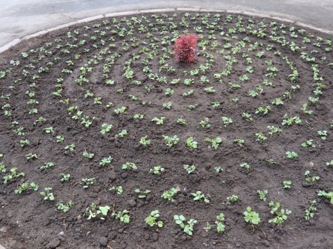 Xankəndiyə bahar gəlir - FOTO