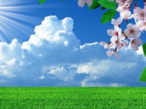 Bu gün 22 dərəcə isti olacaq