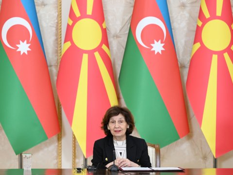 Azərbaycan beynəlxalq münasibətlərdə çox fəaldır&nbsp;