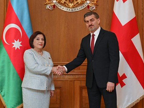 Sahibə Qafarova Gürcüstan prezidenti ilə görüşdü - Fotolar