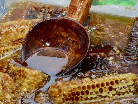 Azərbaycanda bal istehsalı ARTIB