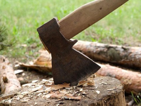 Yaşıllıqları məhv etdilər&nbsp;- Təbiətə 381 min manatlıq ziyan vuruldu