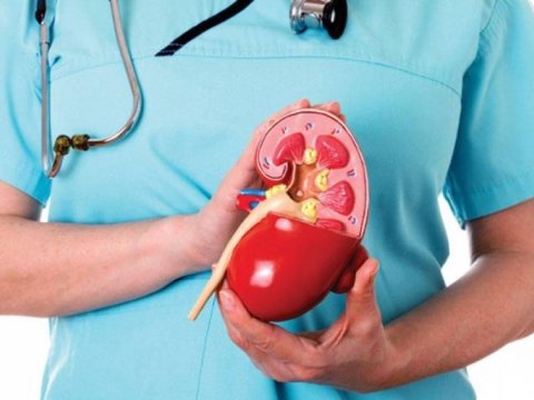 Azərbaycanda 500 nəfər böyrək GÖZLƏYİR