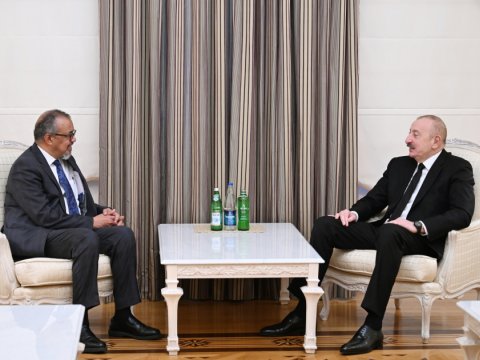 İlham Əliyev ÜST Baş direktorunu qəbul edib