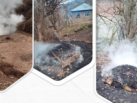 Ağac kömürü istehsal edilən 43 quyu aşkar olunub