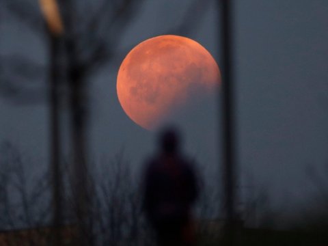 İlin&nbsp;ilk Ay tutulması baş verib