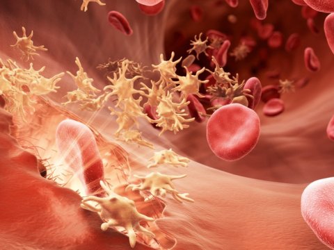 Hemofiliya xəstələrinin SAYI