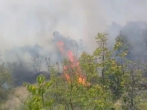 Qusarda dağlıq ərazidə yanğın başlayıb