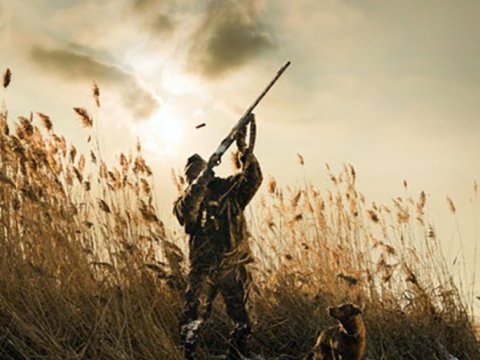 Ov qaydalarını pozan 75 nəfər cərimələndi