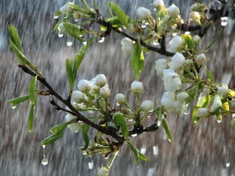 Hava yenidən pisləşəcək - Leysan, dolu və qar yağacaq