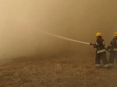 Qızıl qala meşəliyində YANĞIN