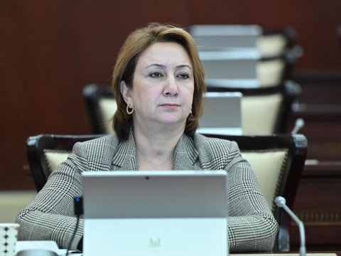 Mehriban Vəliyeva: &ldquo;Novruz bayramı Azərbaycan xalqının ən qədim və ən əziz bayramıdır&rdquo;