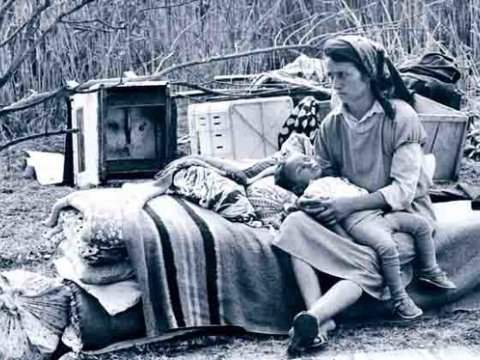 Qərbi Azərbaycan qaçqınlarına bu imtiyazlar verilə bilər - SİYAHI