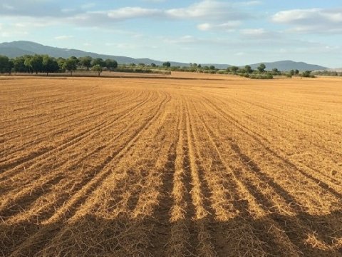 Bələdiyyələr satdıqları torpaqlara qiymət müəyyən edə bilməyəcək