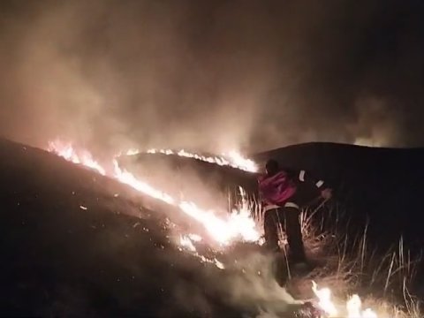 Şəkidə yanğın: kənd sakinləri də səfərbər oldu - FOTOLAR