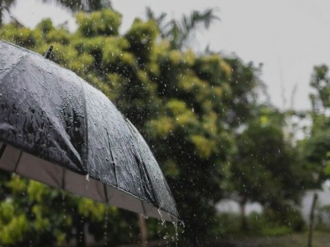 Yağış yağacaq, güclü külək əsəcək - Günün havası