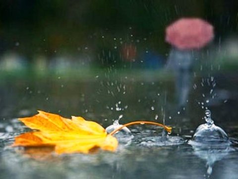 Azərbaycanda yağıntılar&nbsp;davam edir -&nbsp;Faktiki hava