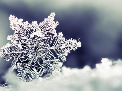 Qar yağıb, külək güclənib - FAKTİKİ HAVA