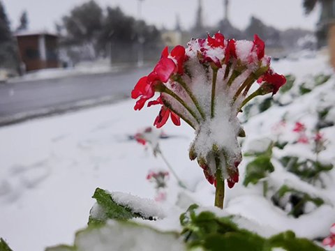 Bu rayonlara qar yağıb - FAKTİKİ HAVA