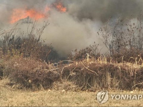 Cənubi Koreyada helikopter qəzası