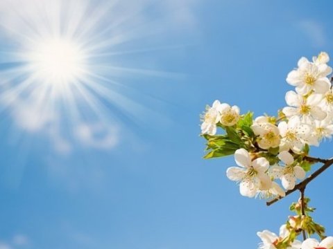 Bu gün 20 dərəcə isti olacaq