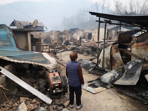 Meşə&nbsp;yanğını 27 nəfərin ölümünə səbəb oldu