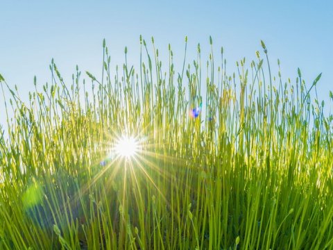 Bayram gününün&nbsp;HAVASI