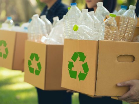 Beynəlxalq Sıfır Tullantı Günü