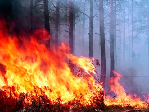 Şimal bölgəsində yanğın söndürüldü - YENİLƏNİB