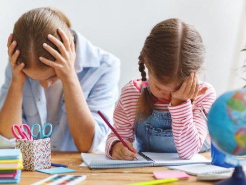 Ağır dərs yükünün gələcək bəlaları - TƏHLİL