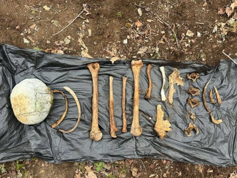 Ağdərədə tapılan&nbsp;sümüklərlə bağlı daha bir AÇIQLAMA