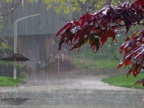 Bölgələrdə külək&nbsp;və yağış -&nbsp;FAKTİKİ HAVA