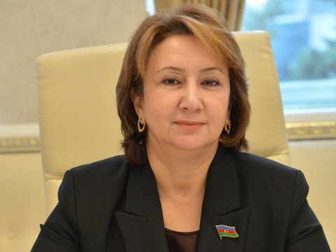 Azərbaycanın enerji siyasəti milli maraqlar üzərində qurulub -&nbsp;Mehriban Vəliyeva