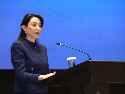 Ermənistanın mina terroru səbəbiylə&nbsp;günahsız insanlar&nbsp;təhdid altındadır -&nbsp;Ombudsman