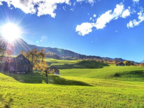 Bu gün 27 dərəcə isti olacaq