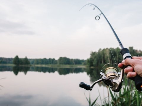 Balıq tutmaq istədi, "tok" vurub öldürdü