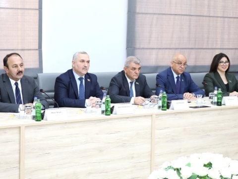 Milli Məclisin deputatları AHİK-də...