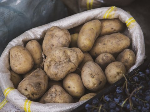 Kartof hara qədər bahalaşacaq...