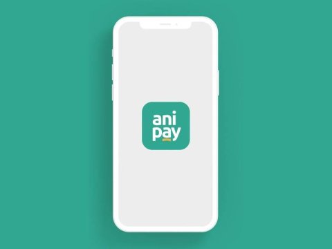 Mərkəzi Bankın “AniPay” tətbiqində nə baş verir?