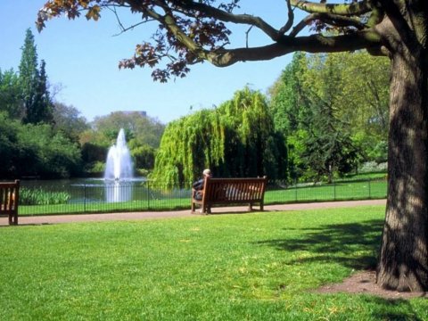 Bakıda yeni park SALINIR
