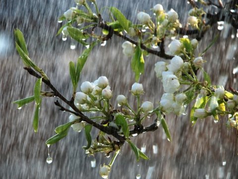 Nazirlikdən hava ilə bağlı xəbərdarlıq