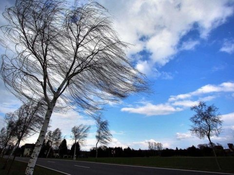 Bakıda güclü külək əsir - FAKTİKİ HAVA