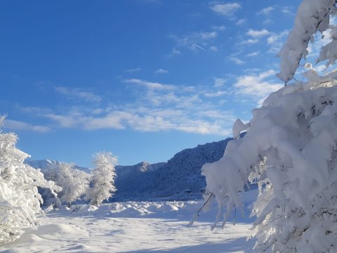 Bəzi ərazilərə qar yağır - FAKTİKİ HAVA