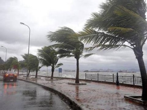 Bakıda güclü külək əsir, rayonlara yağış yağır - Faktiki hava
